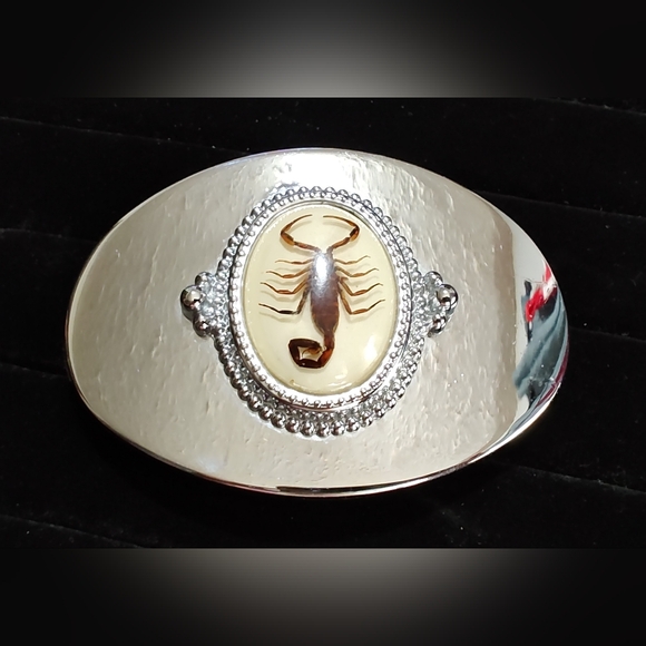Vintage Silver Tone Scorpion Specimen Belt Buckle Western Cowboy Oddities Weird - Picture 1 of 4